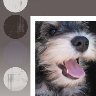 Modern Dots | Click to preview